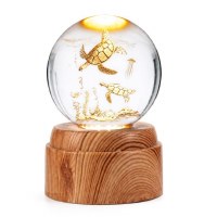 5" LED Clear Turtle Orb With Base