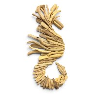 16" Driftwood Seahorse Wall Plaque