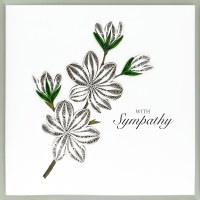 6" Sq "With Sympathy" White Flowers Quilling Card