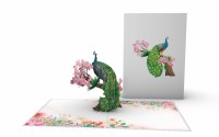 Pop Up Peacock Card