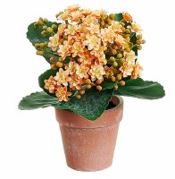 8" Faux Orange Kalanchoe in a Terracotta Pot