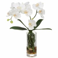 13" Faux White Phaleo in a Glass Vase