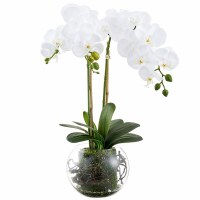 22" Faux White Phaleo in a Glass Ball Vase