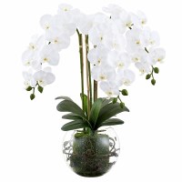 26" Faux White Phaleo in a Glass Ball Vase