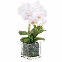 16" Faux White and Pink Phaleo in a Square Glass Vase