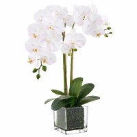 22" Faux White and Pink Phaleo in a Square Glass Vase