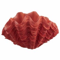 11" Coral Clam Polyresin Vase