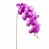 35" Faux Purple Phaleo Spray