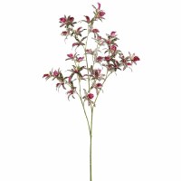 39" Faux Burgundy and Green Dendrobium Spray