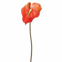 27" Faux Orange Anthurium