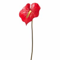 27" Faux Red Anthurium