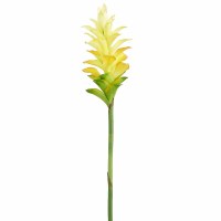 30" Faux Yellow Ginger