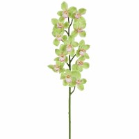39" Faux Green Cymbidium Spray