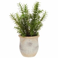 11" Faux Rosemary in a Terracotta Pot