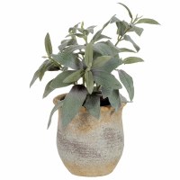 11" Faux Sage Herb in a Terracotta Pot