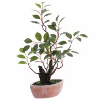 16" Faux Ash Leaf Bonzai in a Terracotta Pot
