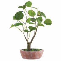 16" Faux Eucalyptus Bonzai in a Terracotta Pot