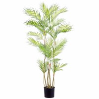 55" Faux Areca Palm ina Black Pot