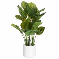 28" Faux Green Calathea in a White Pot