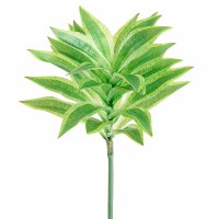 16" Faux Variegated Cordyline Spray