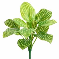 8" Faux Variegated Hosta Bush
