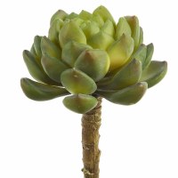 5" Faux Green Large Hen & Chicks Pick