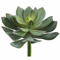 9" Faux Green and Gray Echeveria