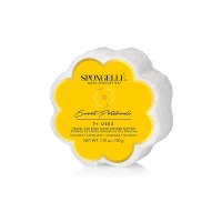 1.75 Oz Sweet Patchouli Fragrance Body Wash Infused Sponge