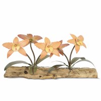 24" Multicolor Five Orchids on Driftwood Centerpiece MM939