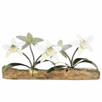 24" White Five Orchids on Driftwood Centerpiece MM939W