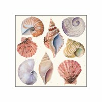 5" Sq Shells & Sand Beverage Napkins
