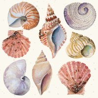 6.5" Sq Shells & Sand Lunch Napkins