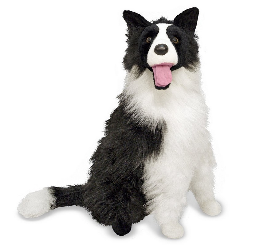 peluche border collie