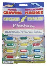 Capsules agrandissement - Dinosaures