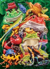 Casse-tête 1000 mcx - Frog Business