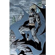 Batman Cape Poster