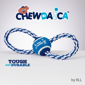 Chewdaica Chanukah Rope Dog Toy