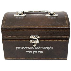 Faux Leather Esrog Box with Handle and Clasp Brown