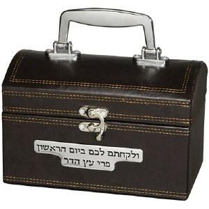 Faux Leather Esrog Box Brown with Handle and Clasp