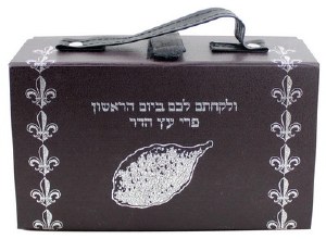 Esrog Box Vinyl With Silver Decor
