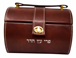 Faux Leather Esrog Box Brown Designed with Handle and Lock