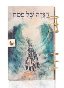 Leather Childrens Haggadah Shel Pesach Painted by Batya [Spiralbound]