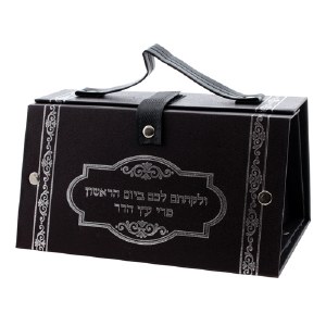 Faux Leather Esrog Box Rectangle Shape with Handle and Clasp Silver Imprint Brown