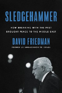 Sledgehammer [Hardcover]