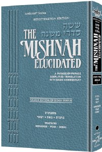 The Schottenstein Ed. Mishnah Elucidated Gryfe Ed Seder Nezikin Volume 1