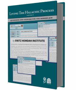 Living the Halachic Process V2
