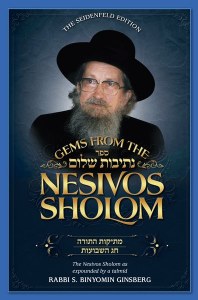 Gems from the Nesivos Shalom: Mesikus Hatorah &amp; Chag Hashavuos [Hardcover]