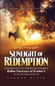 Sunlight of Redemption [Hardcover]