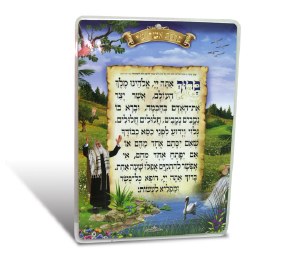 Asher Yatzar Laminated Card Surrounded by Scenery Image