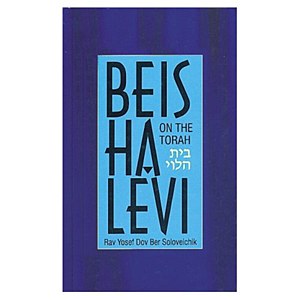 Beis Halevi on The Torah (Bereishis/Shemos) [Hardcover]